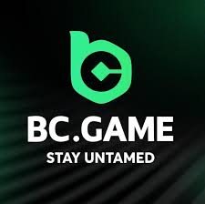 Is BCGame.sk a Legitimate Online Gaming Platform -195871624